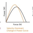 S&C 트레이닝 센터 이미지