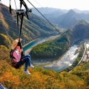 짚와이어체험장 이미지