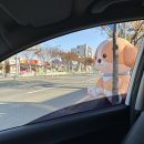 장보는 강아지와 고양이(세천점) 이미지