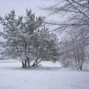 하얀천국 이미지