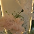 포시즌시스템 이미지