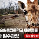 한국동물실용전문학교 이미지