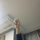 초여름 속의 우리들