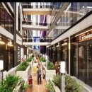 카사레스 이미지