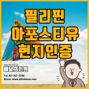 필리핀 대학교/고등학교/중학교/초등학교 졸업증명서 아포스티유 이미지