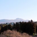 해성민박 이미지