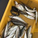 연화민박 이미지