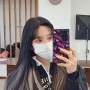 모모브릿지