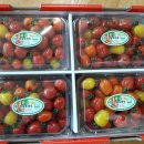 강성주유소 이미지