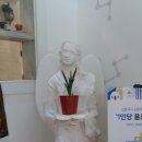산토리니커피 이미지