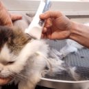 유스타 그루밍 이미지