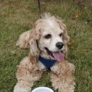 제로네간식타임 이미지