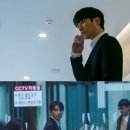 우월 티브이데일리