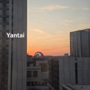 황해글로벌 | 중국 연태 호텔 / 하얏트 플레이스 옌타이 근처 맛집 추천