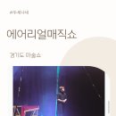 가족매직쇼<어린이마술쇼> | 에어리얼 매직쇼 평택 마술공연 가족 나들이로 딱이었던 공연 후기
