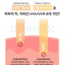 비비붕붕 | [도전 #13] 화잘먹 촉촉 워터프루프 선크림 / 밈즈 마일드 워터리 썬스크린 후기 / 안자극 테스트의 뜻