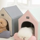 강아지집 이미지