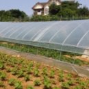 길상면-4 이미지