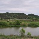 주월교