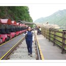 강촌레일바이크 이미지