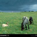 자연이야기 이미지