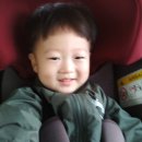 곡성-241 네이버블로그