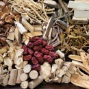 건강과약초 이미지