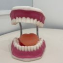 우리언어치료실 이미지