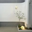 나비드헤어 이미지