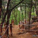 숲속에향기 이미지