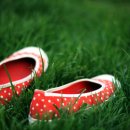 Serenity a 이미지