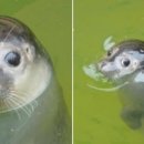 미소깜냥2
