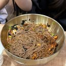 1261 | 일산 메밀곳간 웨돔점 막국수 맛집 메밀물막국수 메밀비빔막국수 내돈내산 후기