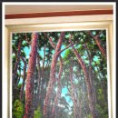 조마루뼈다귀 이미지