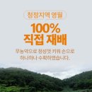 이섭농장 | 사과의1000배함유된 비타민나무열매분말(국내산) 추천!