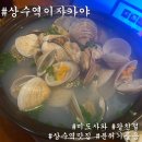 미도사 이미지