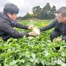 성산일출봉농업협동조합 농산물산지유통센터 이미지