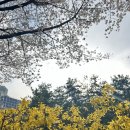 용산가족공원 주차장 화장실 이미지