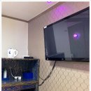 모텔라이 이미지