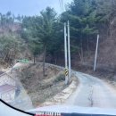 강원도 캠핑장 추천 [횡성] 월강캠프 :: 숲속뷰 공기최고(애견동반,개별샤워실)