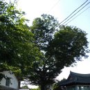 돌담집 | 전남 보성 여행 &#39;오봉리돌담집 별채&#39;후기 🏠