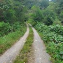 반디불이 민박 이미지