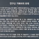 대구제일중학교 티스토리