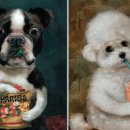 내 강아지 이미지