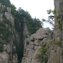 돼지옆꾸리