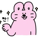 래쉬디쉬(lashdish)