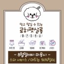 로히펫살롱 이미지