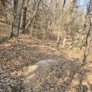 대불근린공원 이미지