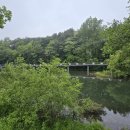 바람소리새소리 이미지