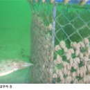 방축도수산 이미지
